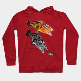 Rockcod Hoodie